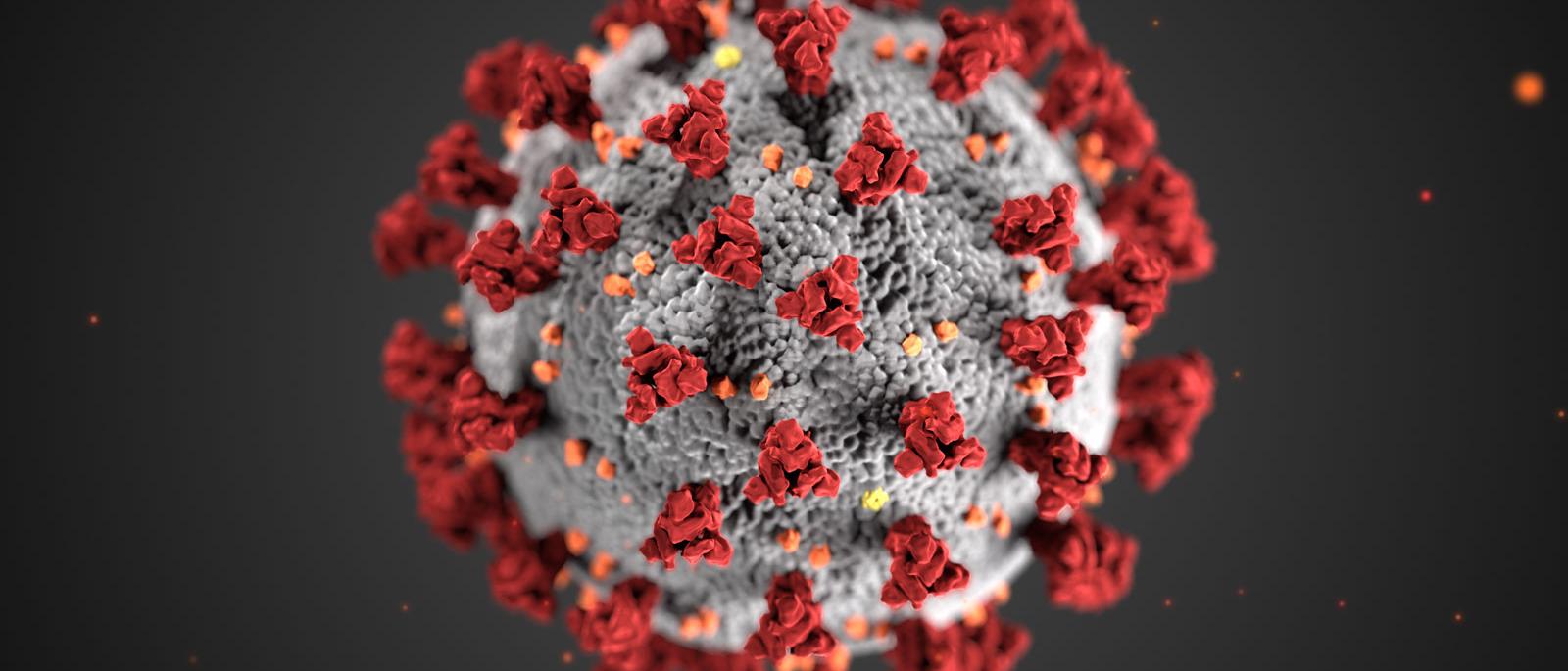 Corona Virus